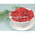 China Ningxia Organic Goji Berry